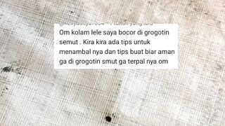 Kolam TerpalBeton BOCORJangan PANIK tambal dengan ini 2 menit KELAR