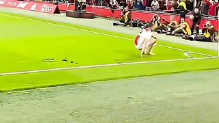 others knee slides vs The Last one
