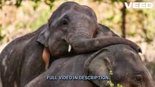 [Lengkap] video pelajar tingkatan 3 video pelajar melaka video pelajar tingkatan 3 alor gajah