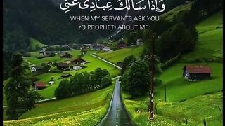 Tilawat e Quran in Arabic