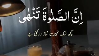 عبدالرحمن مسعد