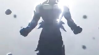 Goku inspection