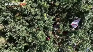 Chinese Agricultural Technology Transforms Barren Desert into Fruit Gardens
