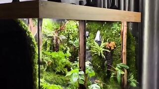 artificial nature that is a feast for the eyes