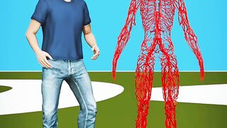 How Long Are Your Blood Vessels?  thrille thrillont magic