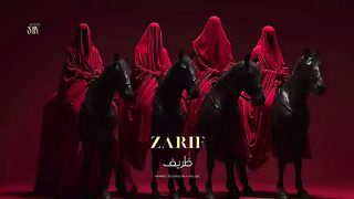 Zarif  ظريف  Arabic Techno House Mix SNX