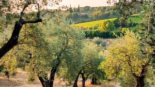 Beautiful nature