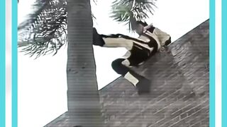 the legendary jackie  chan