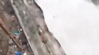 Memberi Makan Kucing Liar Antara Kasih dan Kepedulian