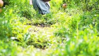 Peaceful Day in the Orchard   Natures Simple Joy