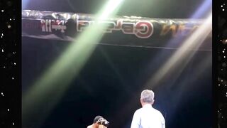 pukulan yang masuk ke sarangnya