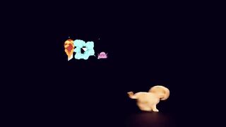 Dog filem