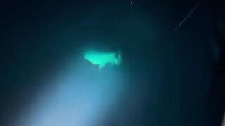 Berburu ikan Hiu di malam hari