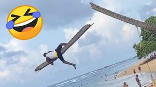 TRY NOT TO LAUGH  New Funny Videos  Memes  Compilation PART 256 (2025)