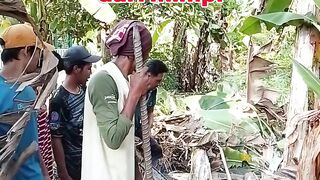 harta karun
