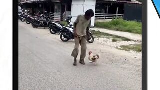 ayamnya ngeselin bjir