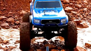 RC Truck in the wild