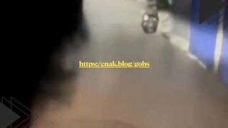 Kucing Santai Tidur di Motor, Dubbingnya Bikin Ngakak!