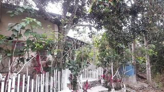 RURAL ATMOSPHERE IN THE MORNING WITH THE SOUND OF BIRD 1