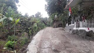 RURAL ATMOSPHERE IN THE MORNING WITH THE SOUND OF BIRD 2