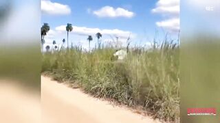 Funny video part 04