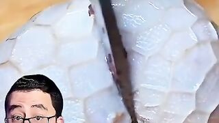 معلومه ممتازه