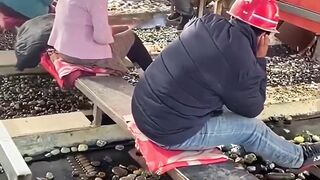 Pencari batu giok
