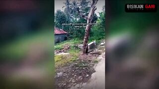anak kecil melihat hantu di siang hari