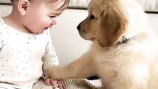 Toddler with pet