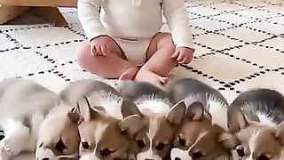 The most adorable domino effect youll see all day