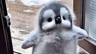 I wont let you escape. youre mine now