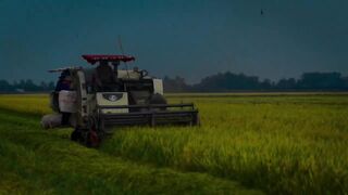 Rice harvester kubota DC 105