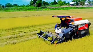RICE HARVESTER KUBOTA DC-100X