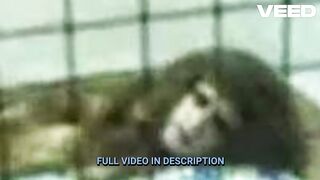 Full Leak Video Completo