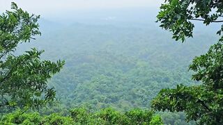 Hills Tracking In Rainy Day (Nature Beauty)