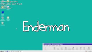 The story of youareanidiot