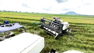Kubota DC 105 rice harvester
