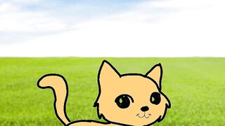 Funny fact about Cat