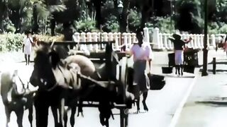 Suasana Batavia tahun 1930-an terlihat tenang dan asri.