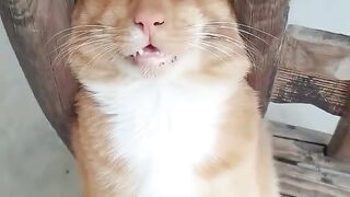 Please  I am sleepy