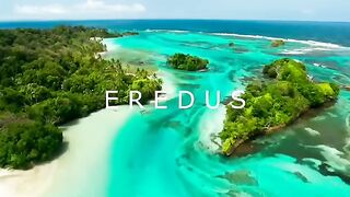 animals of forest||most beautiful animal||ceation of God