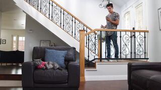 Cats fun. The wingman. Funny.