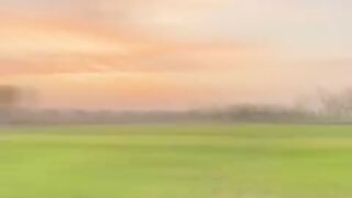 Green lush soil