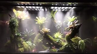 Automatic Watering System For Garden Spray|best green garden|beautful garden 2023