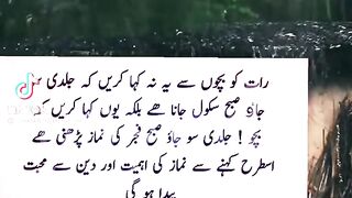 File name VID-20221209-WA0011.