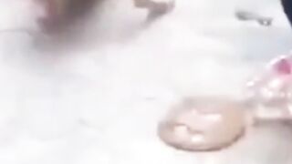 Best funny video