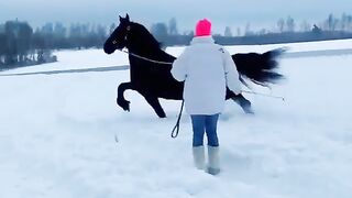 Best video