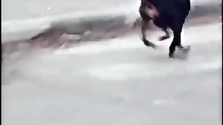 Respect videos
