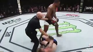 UFC undefeated fighters ????????