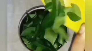 Hair care treatment